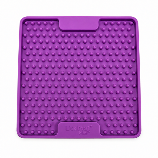 LickiMat Mini Soother